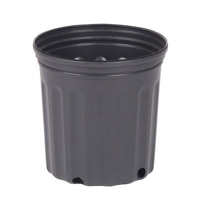 Plastic 1.5 gallon pot
