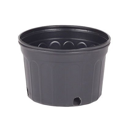 short 2 gallon pots