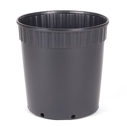 14 gallon plant pot