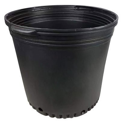 25 gallon plant pots