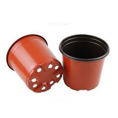 13cm plant pots