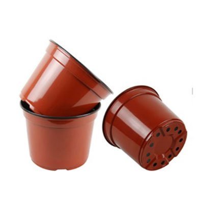 20cm plastic pots