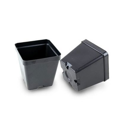 3.5 inch square plastic pots