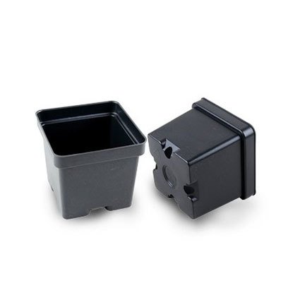 4 inch square plastic pots