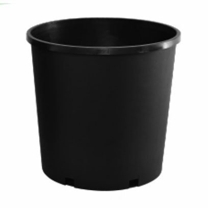 ZP 10T gallon pot